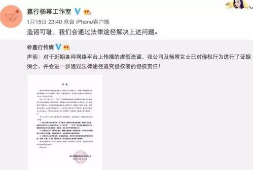 娱乐圈吃瓜小说连更,瓜田里的明星秘闻大揭秘