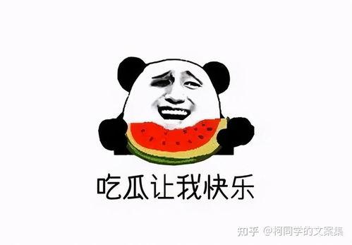 娱乐吃瓜酱不要在意别人,聚焦自我成长
