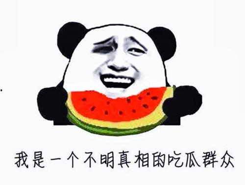 娱乐圈的吃瓜影帝爱看书吧,书香浸润人生