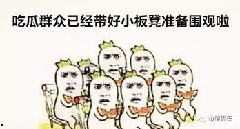 吃瓜群众娱乐小能手,揭秘娱乐圈幕后趣闻