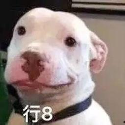 娱乐圈吃瓜公众号微信,揭秘那些不为人知的幕后故事！