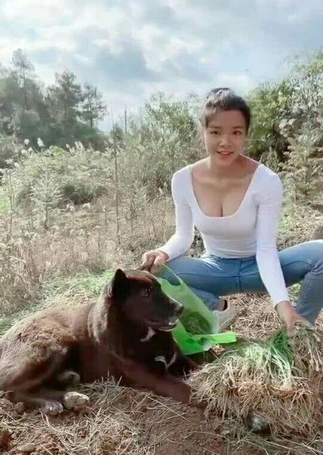 娱乐吃瓜酱大山里,娱乐吃瓜酱的神秘之旅