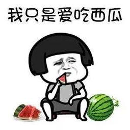 娱乐吃瓜酱梗是什么