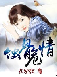 吃瓜小说娱乐圈番茄小说,番茄小说中的瓜田盛宴